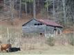 360 Two Sisters Trl, Clayton, GA 30525