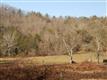 360 Two Sisters Trl, Clayton, GA 30525