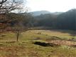 360 Two Sisters Trl, Clayton, GA 30525