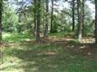 150  Silverthorn Dr , Tyrone, GA