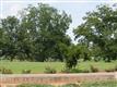 2050 Hwy 78, Monroe, GA 30655