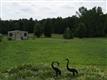 2050 Hwy 78, Monroe, GA 30655