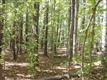 0  Porter Rd , Fayetteville, GA