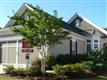118  Spider Lily , Griffin, GA