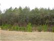 123 Taylor Dr, Guyton, GA 31312