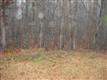 0 John Hancock Ct, Griffin, GA 30224