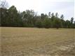 137  Taylor Dr , Guyton, GA