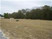 137 Taylor Dr, Guyton, GA 31312