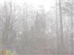 161 Liberty Bell Ln, Griffin, GA 30224