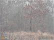 161 Liberty Bell Ln, Griffin, GA 30224