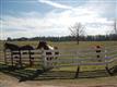 702 Strickland Rd, Concord, GA 30206