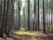 0 Deep South Rd, Senoia, GA 30276