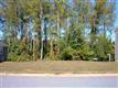 303 Hidden Springs Lane, Taylors, SC 29687