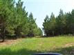 Lot 1  Slatton Shoals Road 
