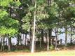 176  Carshalton Dr , Lyman, SC