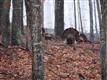 LOT S-45 Jocassee Ridge, Salem, SC 29676