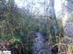 00  Spring Park Rd , Marietta, SC