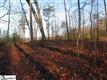 Lot 63  Flycatcher Way , Marietta, SC