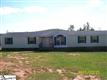 117  Lucille Dr 