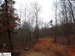Lot 187  Purple Finch Way , Marietta, SC
