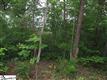 222  Silver Shoals Road , Marietta, SC