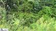 Lot #26  Renee Way , Anderson, SC
