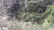 Lot #27  Renee Way , Anderson, SC