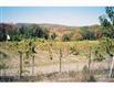 81 Pine Island Tp, Warwick, NY 10990