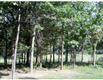 36 Taylor Rd, Warwick, NY 10990