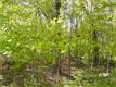 95  Long Hill Road , Cornwall, NY