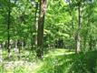 Lot  1  Clove Rd , Blooming Grove, NY
