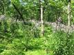 Lot  2  CLOVE RD , Blooming Grove, NY