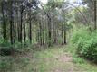 27  Penaluna Rd , Monroe, NY