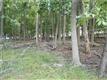 SAYER  Rd , Blooming Grove, NY