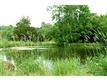 487 Black Meadow Rd, Chester, NY 10918