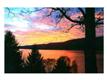 Greenwood Lake