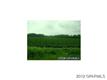 0 Nc Hwy 11, Bethel, NC 27812