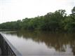 Greenville