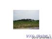 2810 Autumn Blaze Court, Simpson, NC 27879