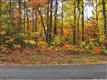 1791  Red Bud Rd , Sevierville, TN