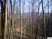 Lot 58  Upper Windsor Way , Gatlinburg, TN