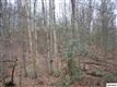 L90  N. Baden Drive , Gatlinburg, TN