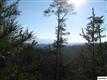 25 ac Gossamer Rd, Cosby, TN 37722