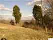 LOT 19 Lakebend Drive #Scenic Shores-P, Dandridge, TN 37725