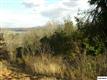 LOT 19 Lakebend Drive #Scenic Shores-P, Dandridge, TN 37725