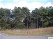 Lot 11  Antler Ridge Road , Dandridge, TN