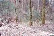 Lot 45 Silverbell Heights Lane