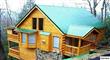 541  Forrest Springs Dr. 