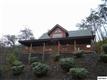 1909  Cougar Crossing Way , Sevierville, TN
