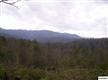 626  Branam Hollow Road , Gatlinburg, TN